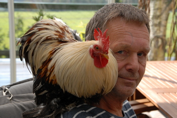 kø350 2 – Kopi.JPG